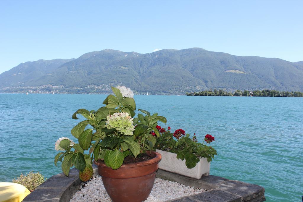 Appartement Casa San Martino à Ronco sopra Ascona Extérieur photo